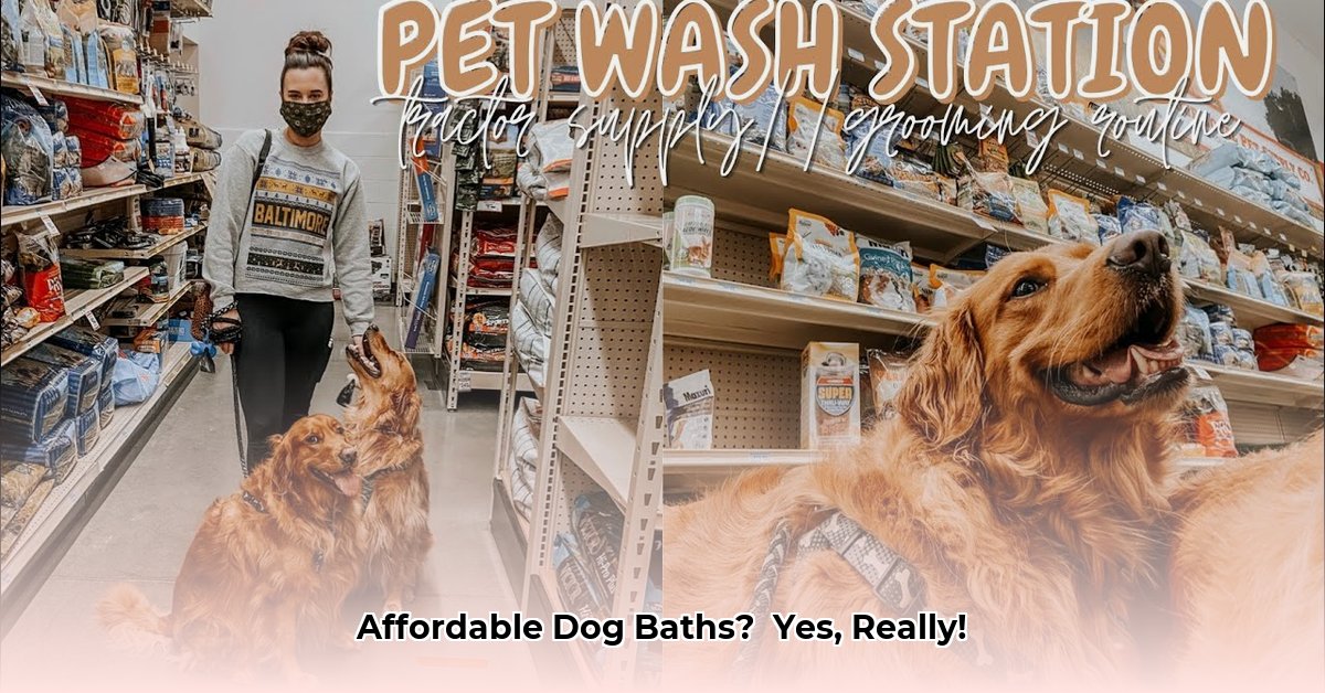dog-washing-station-tractor-supply